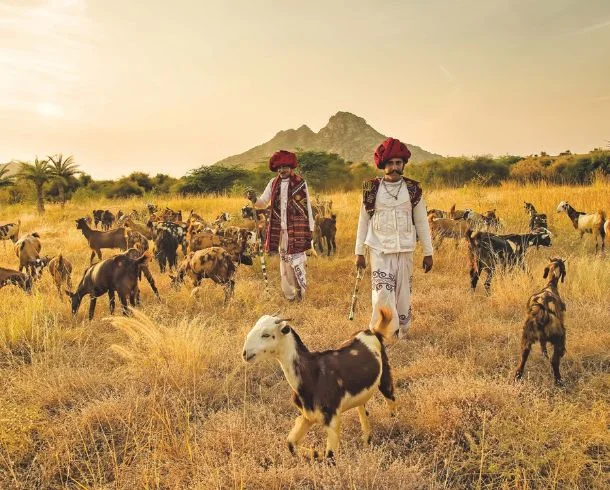 Rajasthan Village Tour Jawai Pali