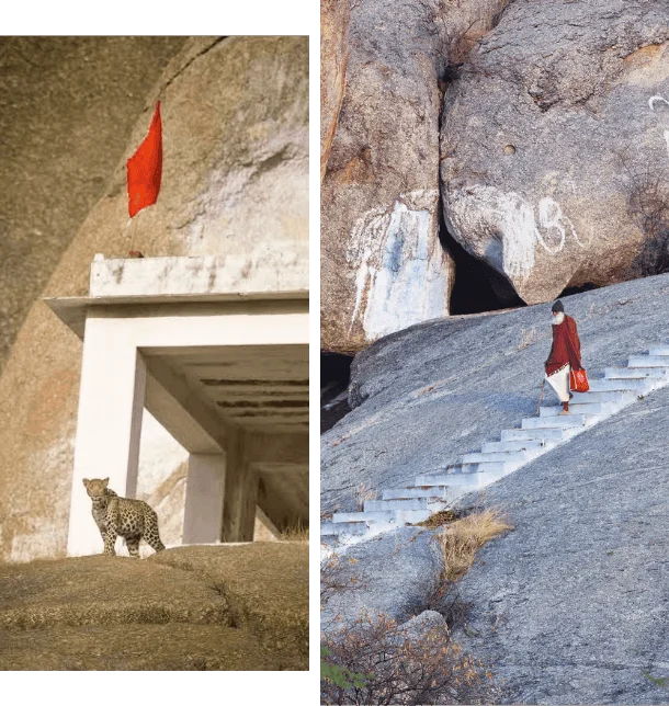 Temples in Jawai Leopard Safari